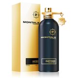 Montale Oudyssee Parfemovaná voda 100ml