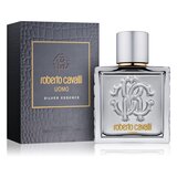 Roberto Cavalli Uomo Silver Essence Toaletní voda