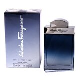 Salvatore Ferragamo Subtil Pour Homme Toaletní voda 50ml