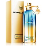 Montale Aoud Lagoon Parfémovaná voda, 100 ml