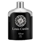 Louis Cardin Silver Homme Parfemovaná voda 100ml