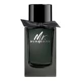 Burberry Mr.Burberry Eau de Parfum Parfemovaná voda 100ml