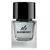 Burberry Mr. Burberry for Men Eau de toilette Toaletní voda 50ml