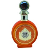 North Stag Expressions IV Quarte Parfemovaná voda 100ml