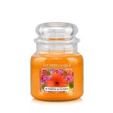 Country Candle Sunshine & Daisies vonná svíčka střední 2-knotová (453 g)