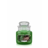 Country Candle Balsam Fir vonná svíčka mini 1-knotová (104 g)
