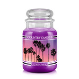 Country Candle Purple Palm vonná svíčka velká 2-knotová (652 g)