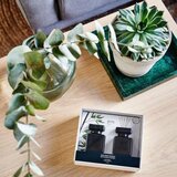 ipuro Essentials Black Bamboo 2x50ml difuzor v dárkovém balení