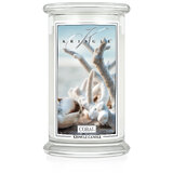 Kringle Candle Coral vonná svíčka velká 2-knotová (624 g)