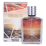 Soulcal & Co For Him Brown Toaletní voda 75ml