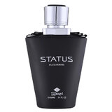 TaDangel Status Pour Homme Parfemovaná voda 100ml