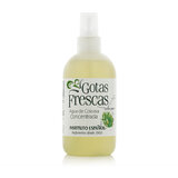 Instituto Español Gotas Frescas Kolínská voda 250 ml