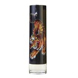 Christian Audigier Ed Hardy Men's Toaletní voda 100ml