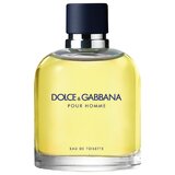 Dolce & Gabbana Pour Homme Toaletní voda 75ml