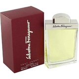 Salvatore Ferragamo Salvatore Ferragamo pour Homme Toaletní voda, 100ml