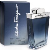Salvatore Ferragamo Subtil Pour Homme Toaletní voda 100ml