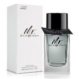 Burberry Mr. Burberry Toaletní voda - Tester, 100ml