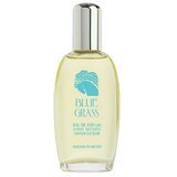Elizabeth Arden Blue Grass Parfemovaná voda 100ml