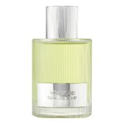 Tom Ford Beau de Jour Parfemovaná voda 100ml