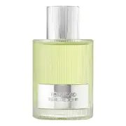 Tom Ford Beau de Jour Parfemovaná voda 100ml