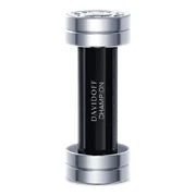 Davidoff Champion Toaletní voda