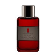 Antonio Banderas The Secret Temptation Toaletní voda - Tester