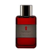 Antonio Banderas The Secret Temptation Toaletní voda - Tester