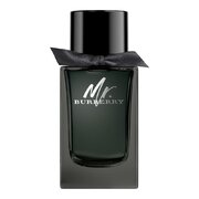 Burberry Mr.Burberry Eau de Parfum Parfemovaná voda