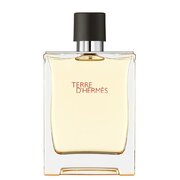 Hermes Terre D'Hermes Toaletní voda - Tester