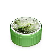 Kringle Candle Balsam Fir vonná svíčka (35 g)