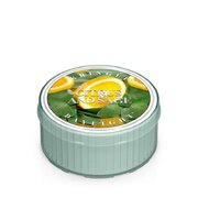 Kringle Candle CITRUS & SAGE vonná svíčka (35 g)