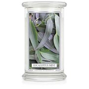 Kringle Candle Eucalyptus Mint vonná svíčka velká 2-knotová (624 g)