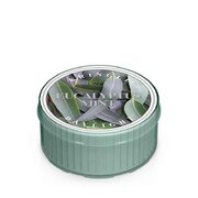 Kringle Candle Eucalyptus Mint vonná svíčka (35 g)