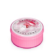 Kringle Candle Peony vonná svíčka (35 g)
