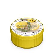 Kringle Candle Rosemary Lemon vonná svíčka (35 g)