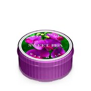 Kringle Candle Sweet Pea vonná svíčka (35 g)
