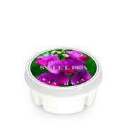Kringle Candle Sweet Pea vonný vosk (35 g)