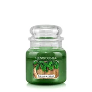 Country Candle Balsam & Cedar vonná svíčka střední 2-knotová (453 g)