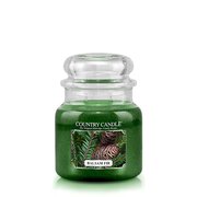 Country Candle Balsam Fir vonná svíčka střední 2-knotová (453 g)