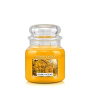 Country Candle Golden Autumn vonná svíčka střední 2-knotová (453 g)