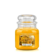 Country Candle Golden Autumn vonná svíčka střední 2-knotová (453 g)