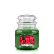 Country Candle Home for Christmas vonná svíčka střední 2-knotová (453 g)