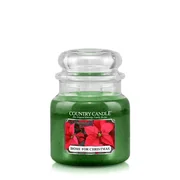 Country Candle Home for Christmas vonná svíčka střední 2-knotová (453 g)