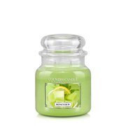Country Candle Honeydew vonná svíčka střední 2-knotová (453 g)