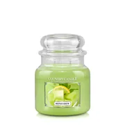Country Candle Honeydew vonná svíčka střední 2-knotová (453 g)