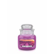 Country Candle Country Lavender vonná svíčka mini 1-knotová (104 g)