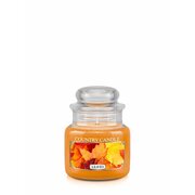 Country Candle Leaves vonná svíčka mini 1-knotová (104 g)