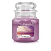 Country Candle Daydreams vonná svíčka střední 2-knotová (453 g)