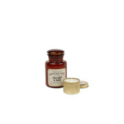 Paddywax Apothecary SEA SALT & SAGE vonná svíčka (8oz/226g)