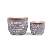 Paddywax Sonora PURPLE WILDFLOWERS & BIRCH vonná svíčka (10oz / 284g)